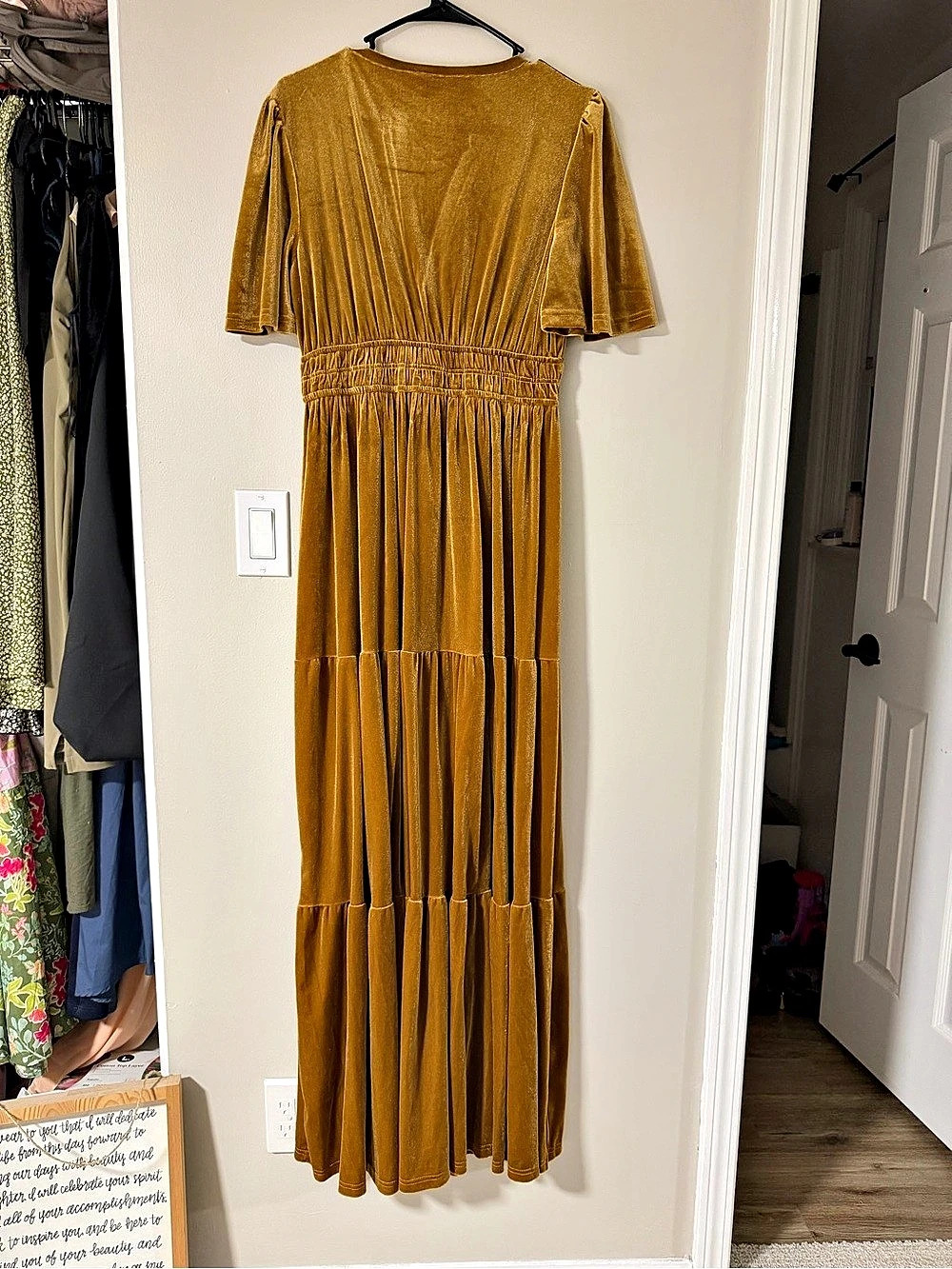 Baltic Born Artemis Velvet Maxi Dress Pleated Velvet Maxi Dress in Gold Size L - Picture 2 of 4